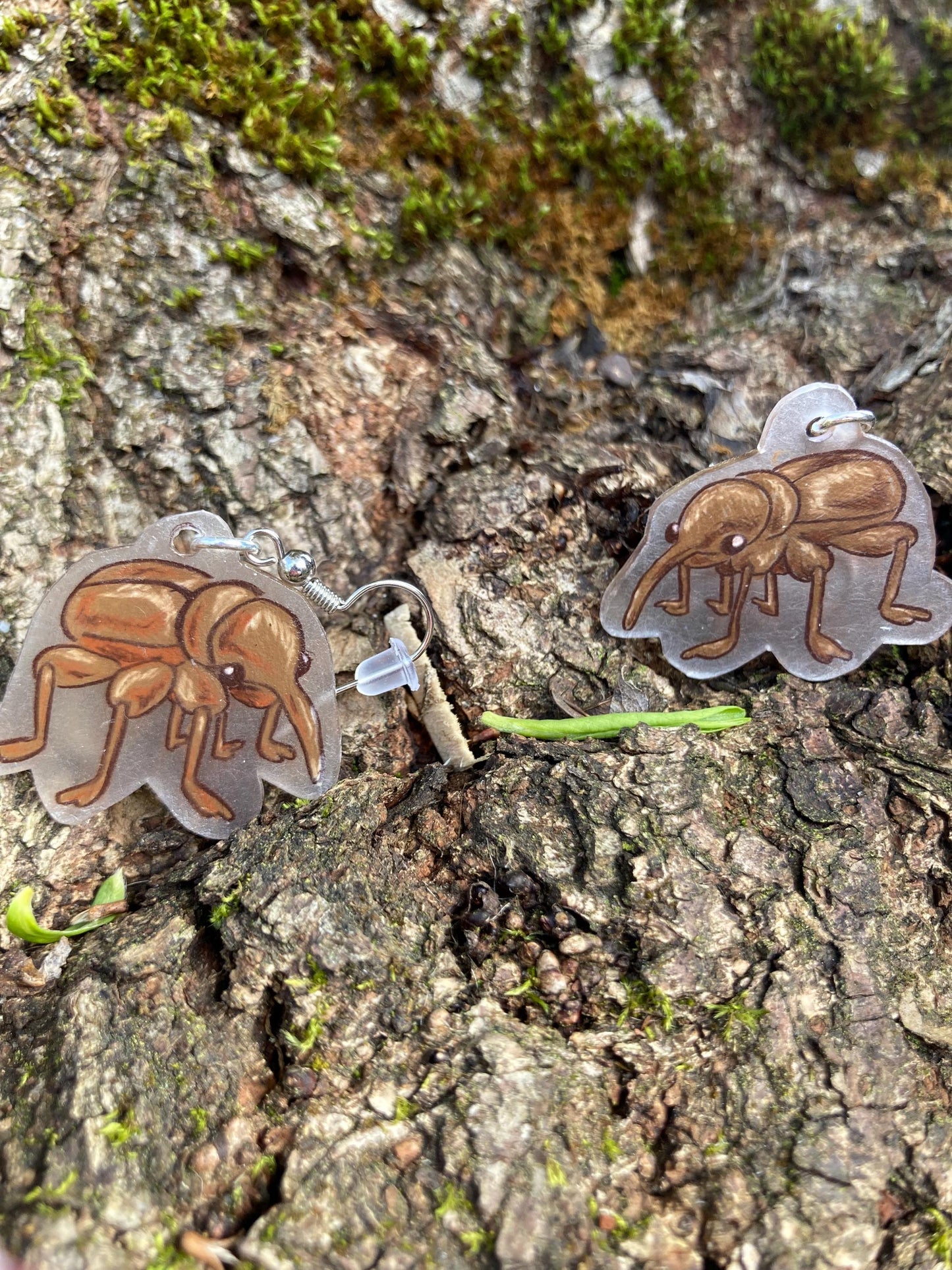 Handmade Weevil Earrings | Cute bug jewelry