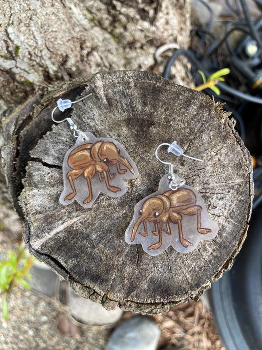 Handmade Weevil Earrings | Cute bug jewelry